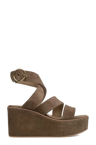 Fabio Rusconi Taupe Suede Wedge Sandal In Neutral