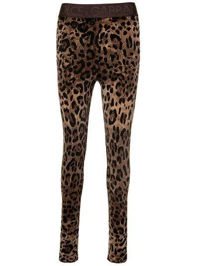 Dolce & Gabbana Animalier Velour Leggings In Brown