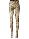 Dolce & Gabbana Leopard-printed Tights In Neutrals