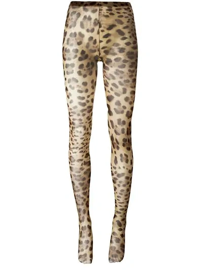 Dolce & Gabbana Leopard-printed Tights In Neutrals