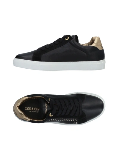 Zadig & Voltaire Sneakers In Black