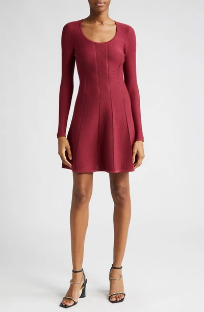 Zimmermann Luminosity Long Sleeve Paneled Mini Sweater Dress In Burgundy