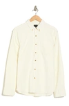 14th & Union Solid Long Sleeve Cotton Button-down Shirt In Ivory Egret