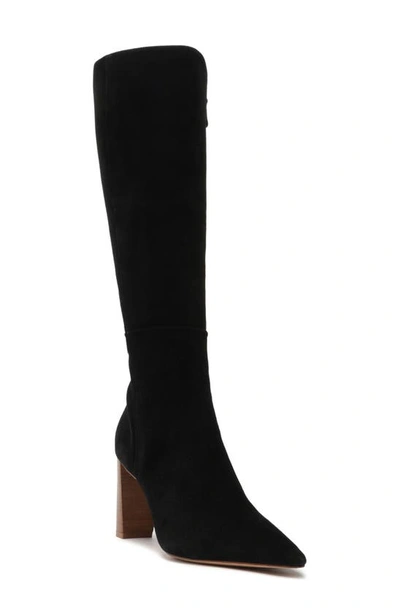 Alexandre Birman Elisa Pointed Toe Boot In Black