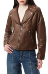 Bernardo Lambskin Leather Moto Jacket In Clay Brown