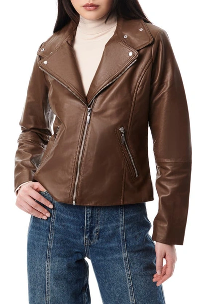 Bernardo Lambskin Leather Moto Jacket In Clay Brown