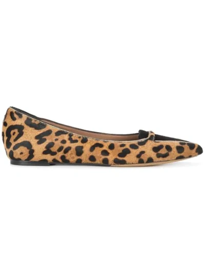 Tabitha Simmons Alexa Leopard Print Ballerina Shoes In Brown