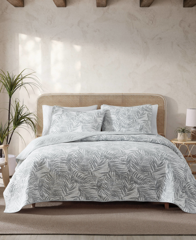 Tommy Bahama Home Palmday Quilt Sets Bedding In Bahama Gray