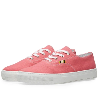 Aprix Canvas Sneaker In Pink