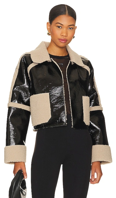 Steve Madden Salma Cropped Jacket In Black