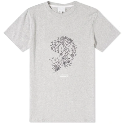 Norse Projects Niels Plant Logo Tee In Grey