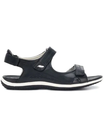 Geox Vega Sandals In Black