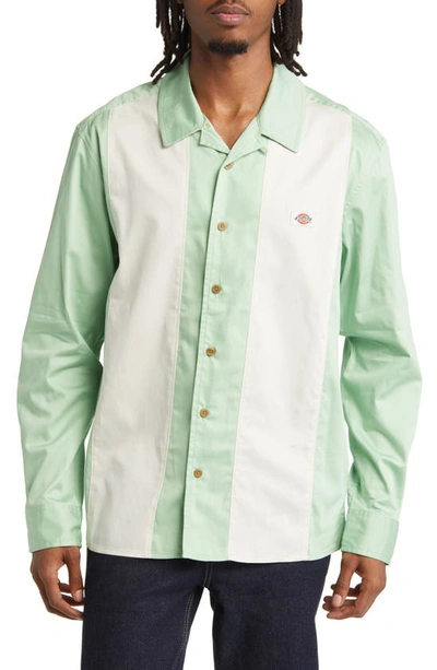 Dickies Westover Colorblock Stripe Cotton Button-up Shirt In Quiet Green