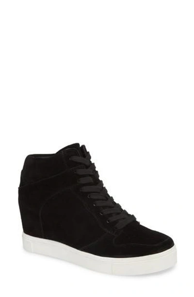 Steve Madden Noah Hidden Wedge Sneaker In Black Suede