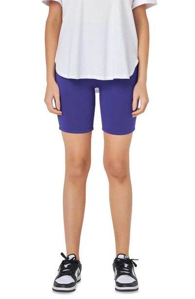 Grey Lab Bike Shorts In Violet