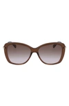 Longchamp 56mm Gradient Lens Butterfly Sunglasses In Brown/ Rose
