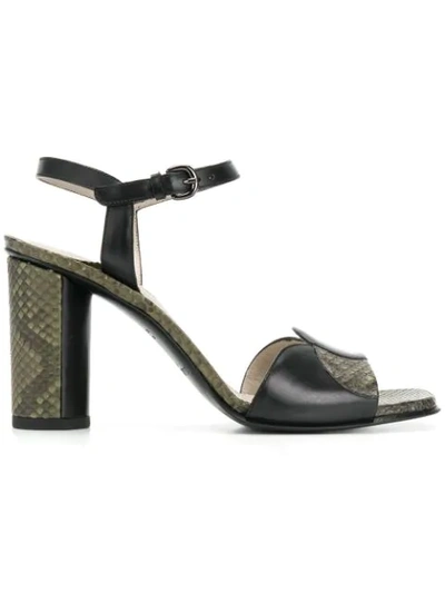 Sartore Panelled Sandals In Green