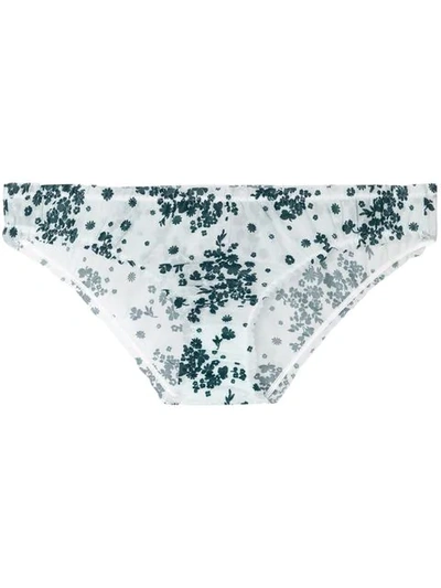 Chite' Print Brief Bottoms In Green