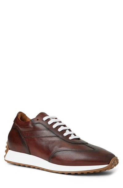 Bruno Magli Duccio Sneaker In Rust