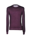 Barba Napoli Sweaters In Deep Purple