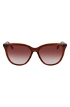 Longchamp Le Pliage 56mm Gradient Tea Cup Sunglasses In Brown