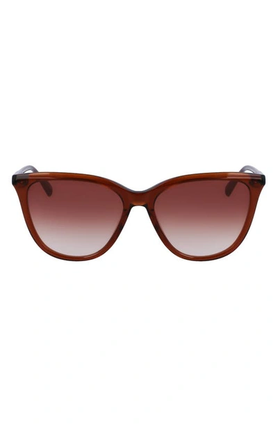 Longchamp Le Pliage 56mm Gradient Tea Cup Sunglasses In Brown