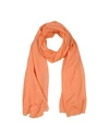 Alberta Ferretti Scarves In Salmon Pink