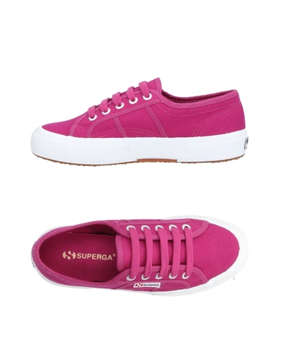 Superga Sneakers In Fuchsia