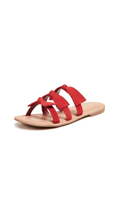 Jeffrey Campbell Atone Bow Sandals In Red