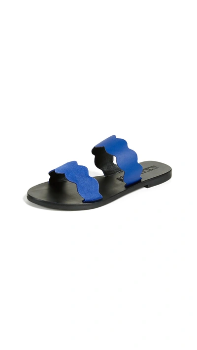 Sol Sana Wave Slide Sandals In Cobalt
