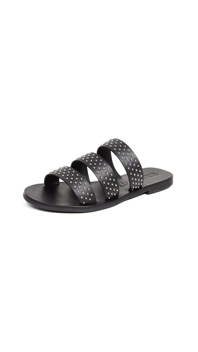 Sol Sana Joaquin Slide Sandals In Black Stud