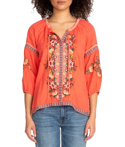Johnny Was Juliene Candy Land Peasant 3/4 Sleeves Embroidered Top In Multi