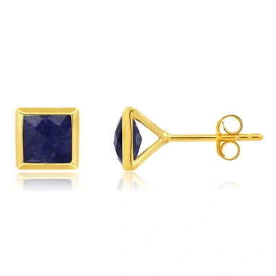 Nicole Miller Sterling Silver And 14k Yellow Gold Plated Princess Cut 6mm Gemstone Square Stud Earrings With Push  In Blue