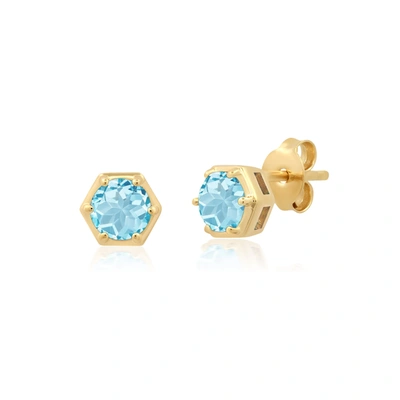 Nicole Miller Sterling Silver And 14k Yellow Gold Plated Round Cut 5mm Gemstone Hexagon Stud Earrings With Push Ba In Multi