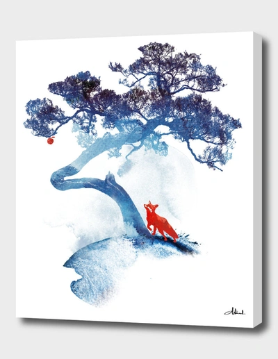 Curioos The Last Apple Tree