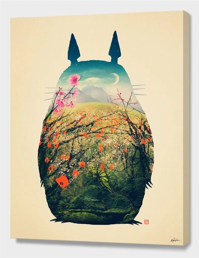 Curioos Tonari No Totoro