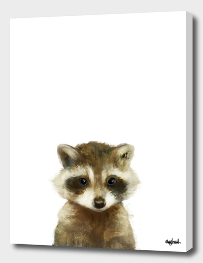 Curioos Little Raccoon