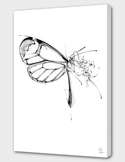 Curioos Butterfly Fuel