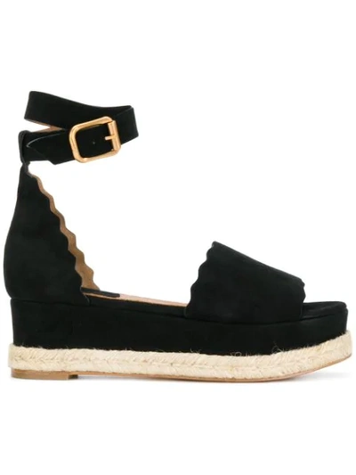 Chloé Lauren Scalloped Suede Espadrille Platform Sandals In Black