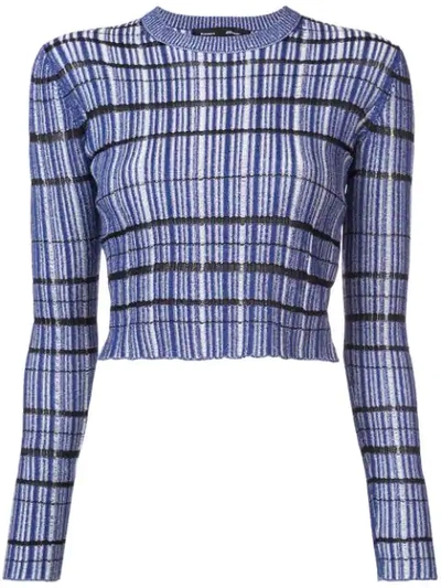 Proenza Schouler Long-sleeve Striped Ribbed Sweater In Blue