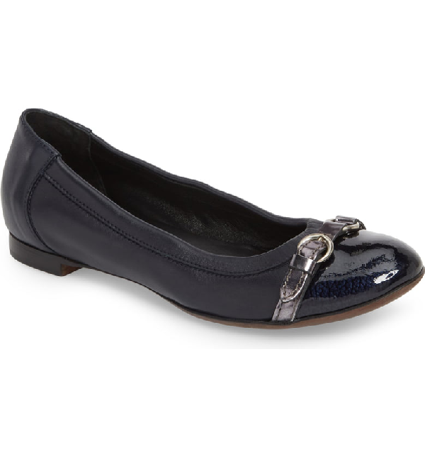 agl ballerina flats