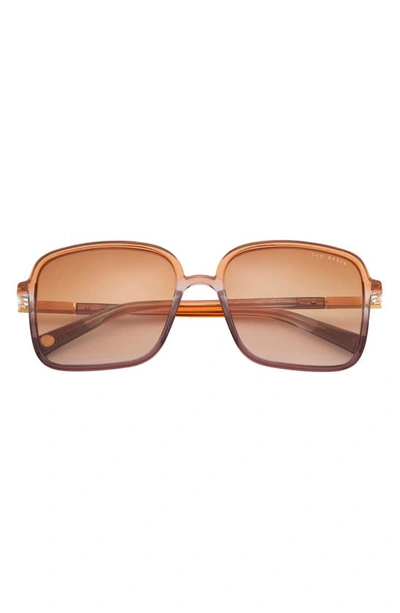 Ted Baker 56mm Gradient Square Sunglasses In Purple