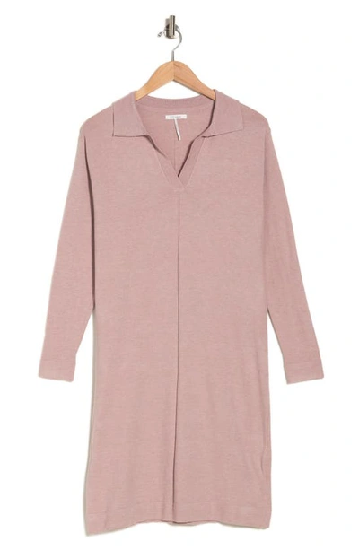 Stitchdrop Saguaro Lake Long Sleeve Dress In Mauve Haze