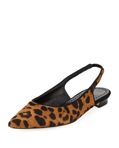 Manolo Blahnik Allura Leopard Calf Hair Slingback Flat