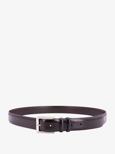 Orciani Belt In Brown