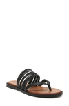 Zodiac Cary Thong Sandal In Black