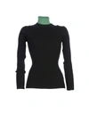 Calvin Klein 205w39nyc Turtlenecks In Black