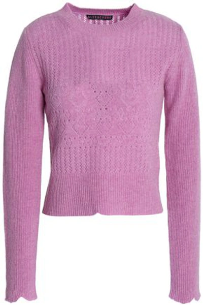 Alexa Chung Woman Pointelle-knit Wool Sweater Lilac