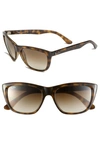 Ray Ban 57mm Cat's Eye Sunglasses In Light Tortoise