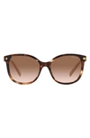 Prada 53mm Square Sunglasses In Brown Tort